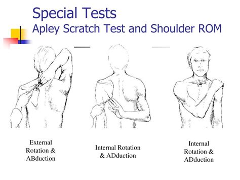 scratch test shoulder|scratch test shoulder pain.